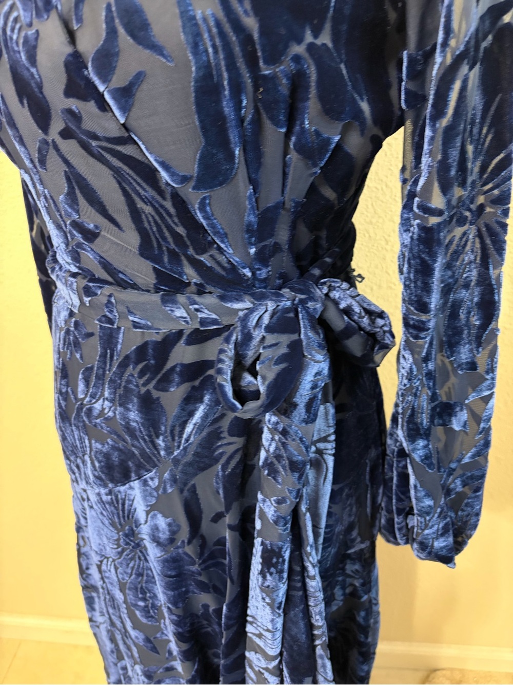 Anthropologie Hutch Daniella Velvet Maxi Dress Small - Picture 6 of 10